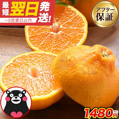 愛媛産デコポン（不知火）の美味しい食べ方ガイド｜旬・選び方・むき方まで徹底解説