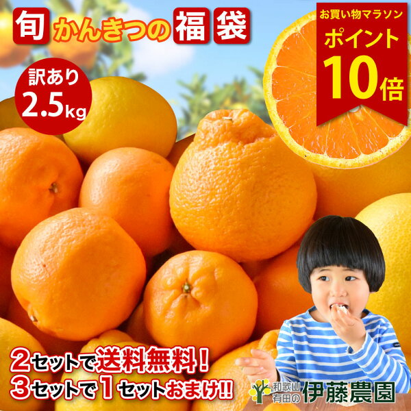 愛媛産・清見オレンジの旬と選び方完全ガイド｜産地ならではの味わいを最高の状態で楽しもう