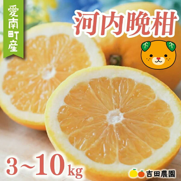 愛媛みかんギフトの選び方完全ガイド｜大切な人に贈る、感動の一箱とは