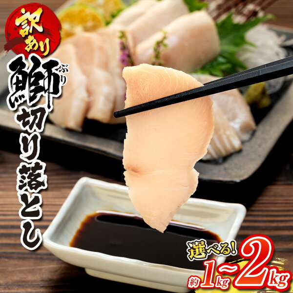 愛媛の海が育てた絶品魚！養殖ハマチ・ブリの特徴と魅力を徹底ガイド