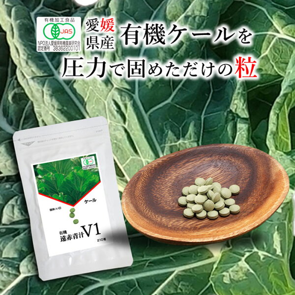 愛媛の大地が育む恵み｜有機野菜・無農薬野菜の産地直送ガイド2024