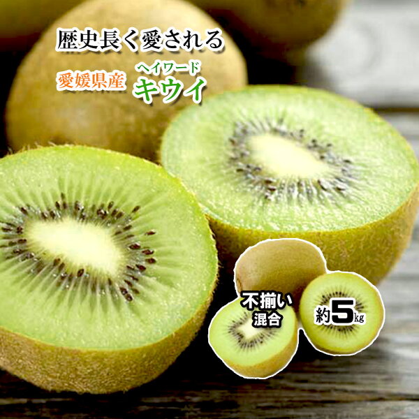 愛媛産ゴールドキウイの魅力を徹底ガイド｜栽培の歴史から選び方・食べ方まで