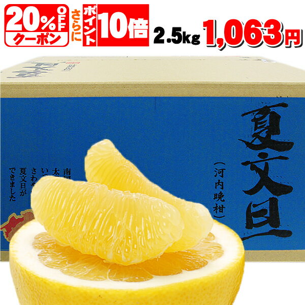 愛媛みかんシロップ・ジュース飲料まとめ｜おすすめ厳選ガイド2024