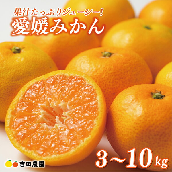 愛媛の中小企業が生む絶品特産品ガイド｜地域を支えるものづくりの魅力をまとめて紹介