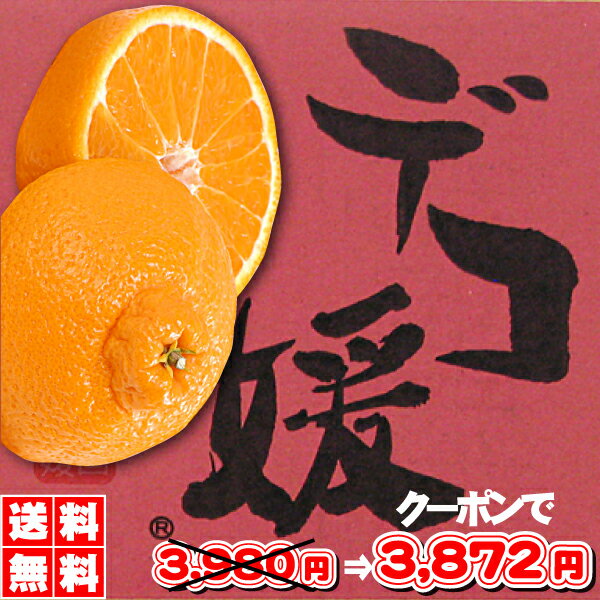 愛媛みかん産地・品種ガイド｜お取り寄せにも