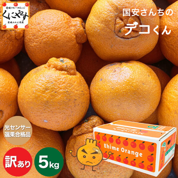 愛媛デコポン・不知火の食べ方おすすめガイド