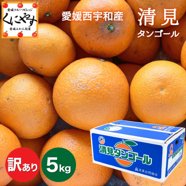 せとかお取り寄せ完全ガイド｜愛媛産高級みかんの特徴