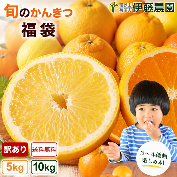 愛媛 清見オレンジ旬と選び方｜お取り寄せガイド