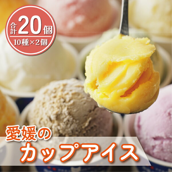 愛媛いちご品種おすすめガイド【旬と食べ方も解説】