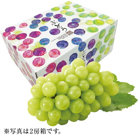 JA愛媛の柑橘お取り寄せ｜旬の産品を通販で