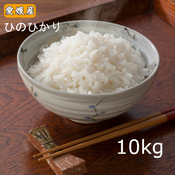 愛媛産お米おすすめ品種ガイド｜コシヒカリの魅力
