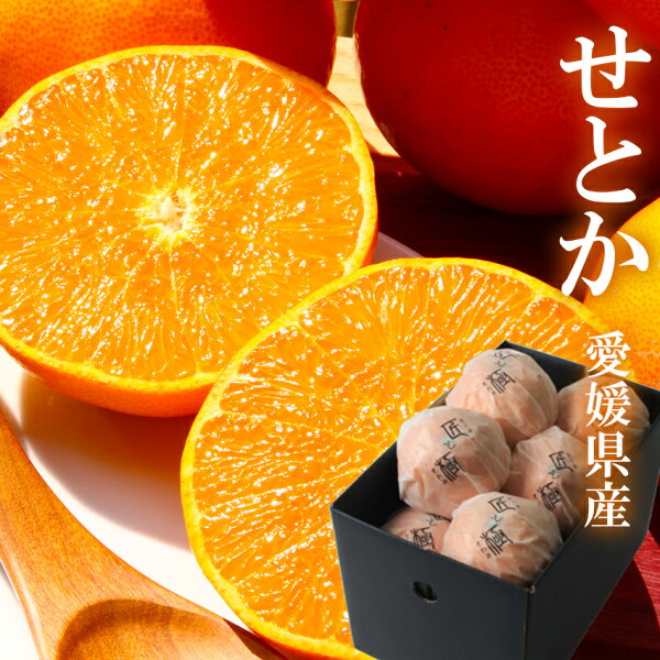 JAえひめ中央の産直お取り寄せ｜愛媛の旬