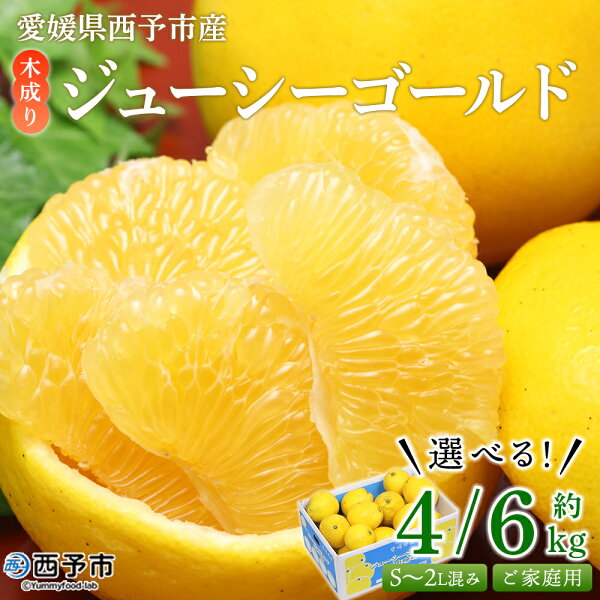6月旬の愛媛産品｜小夏・梅・びわお取り寄せ